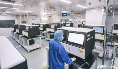 破局生命科學(xué)前沿 中國如何以機(jī)電科技之翼驅(qū)動(dòng)精尖設(shè)備自主創(chuàng)新